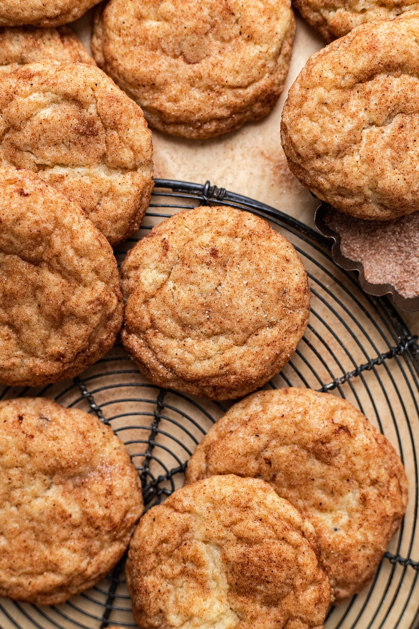Fluffy Treats Homemade Snickerdoodle Cookies
